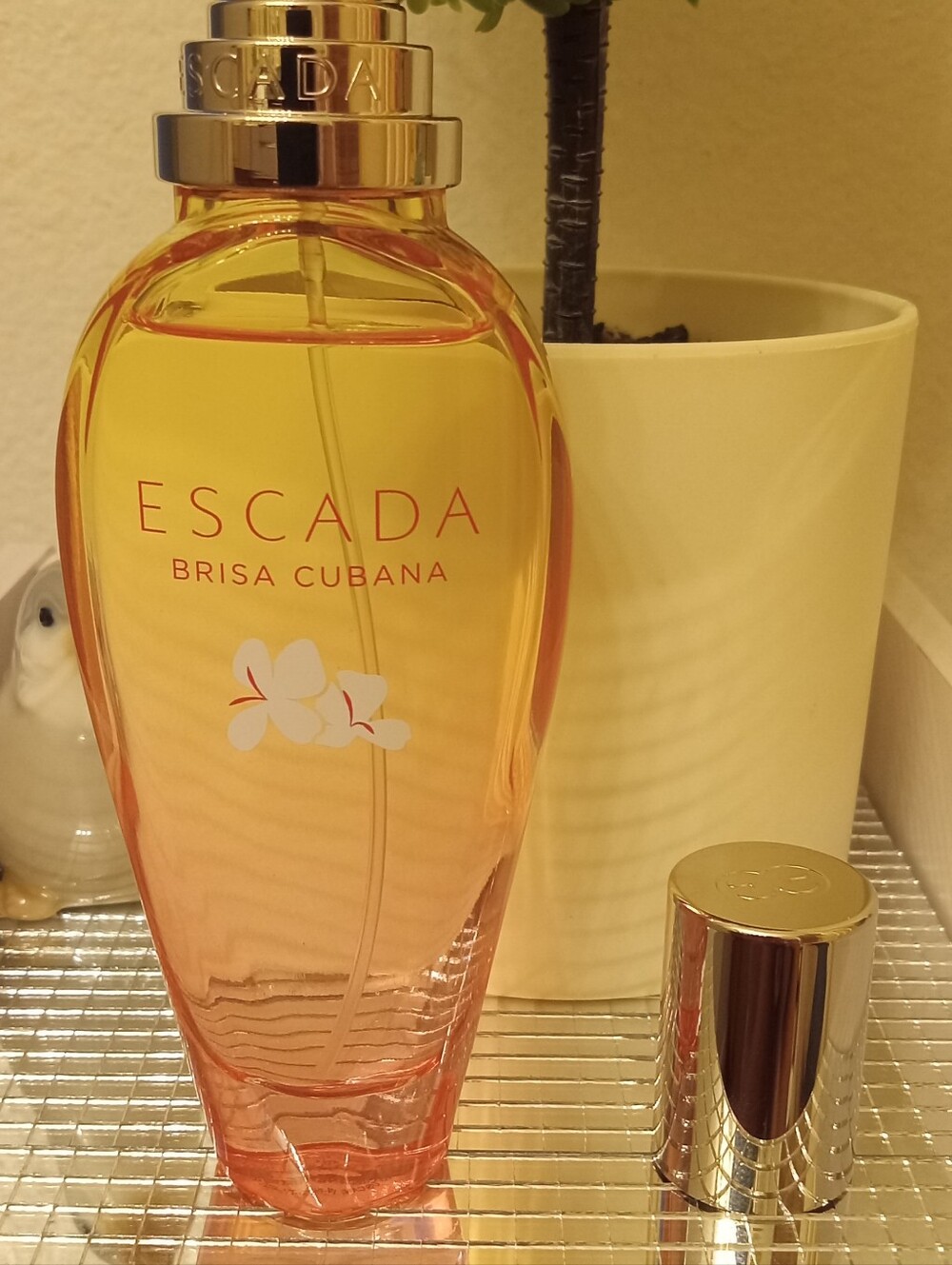 Escada Brisa Cubana 1.6 OZ - Picture 4 of 5